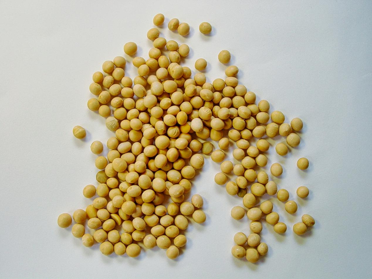 Soy, tofu & edamame