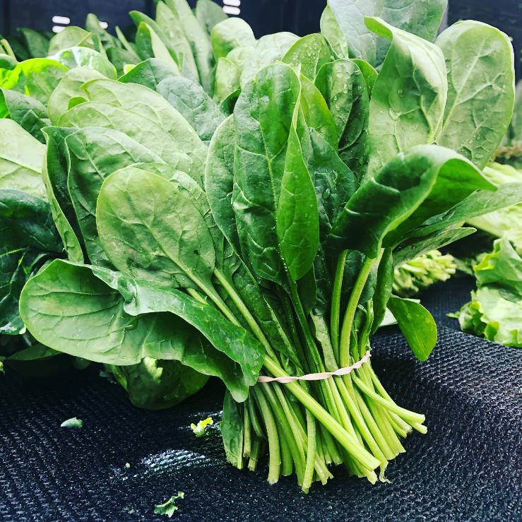 Spinach & leafy greens