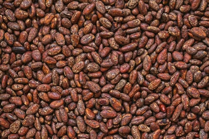 Cacao nibs