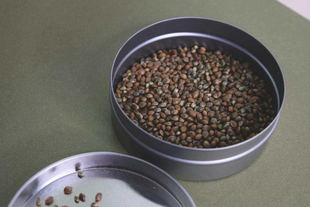 Hemp seeds