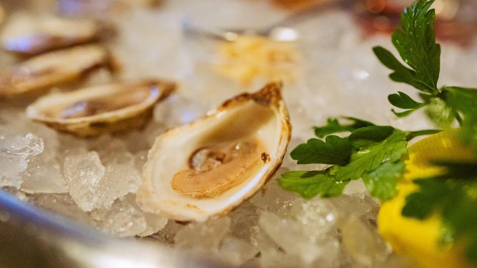 Scallops