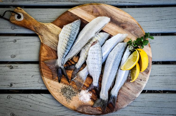 Herring