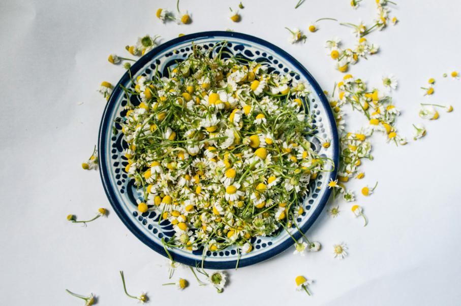 Chamomile tea