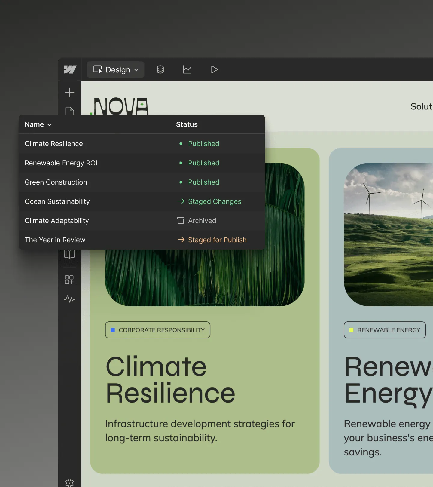 Webflow CMS content management interface