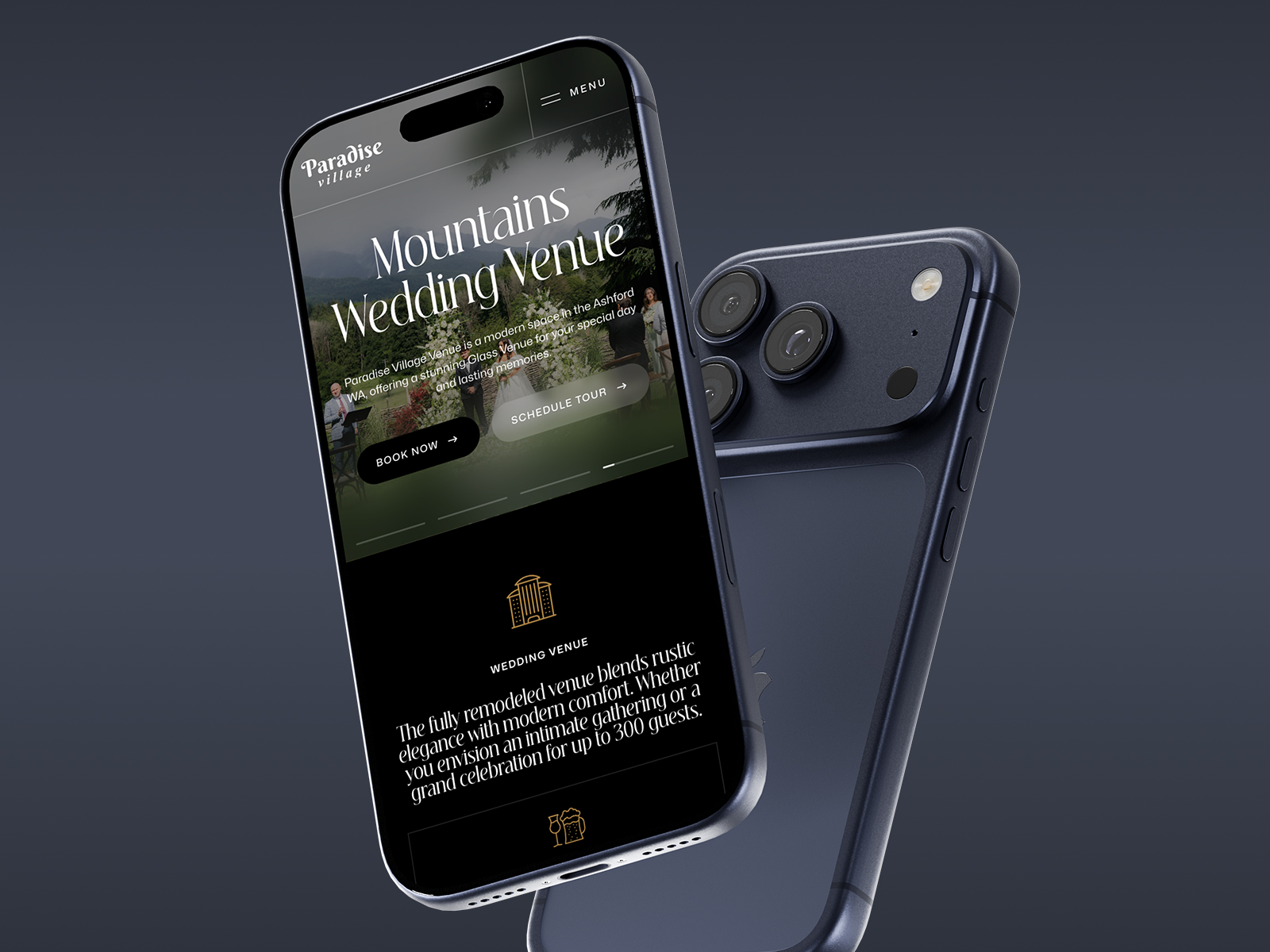 Paradise Venue website case study overview