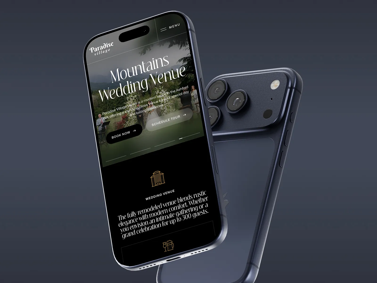 Paradise Venue website case study overview
