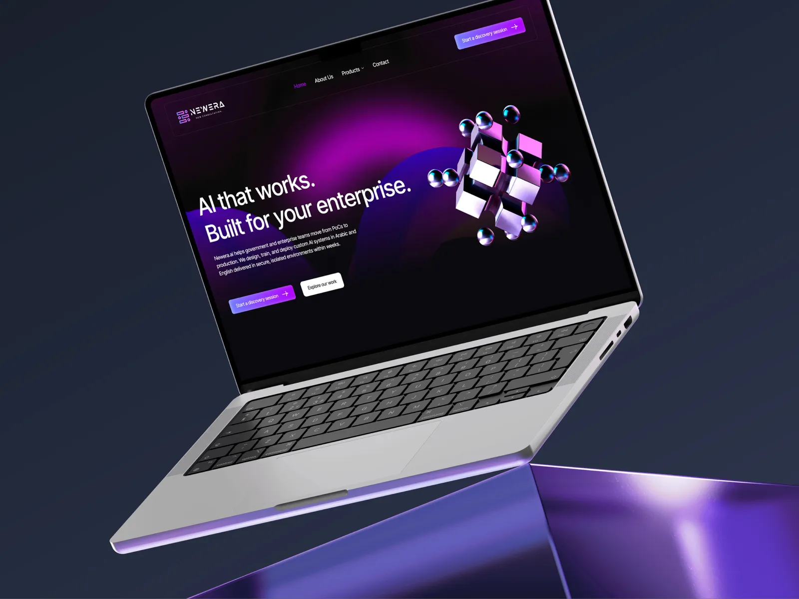 NewEra website case study overview