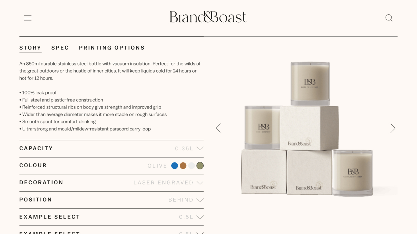 Brand & Boast website design showcase 5