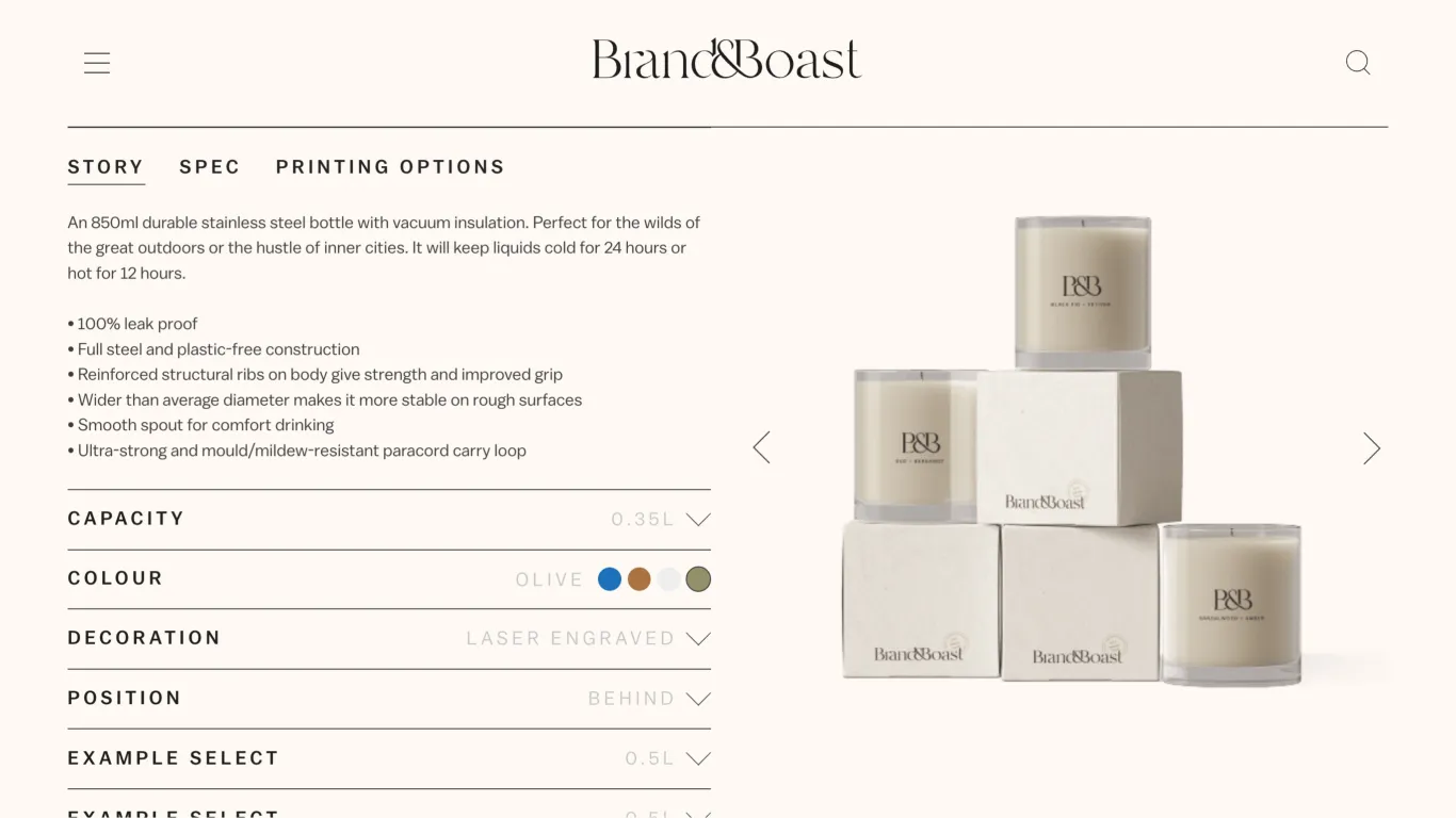 Brand & Boast website design showcase 5