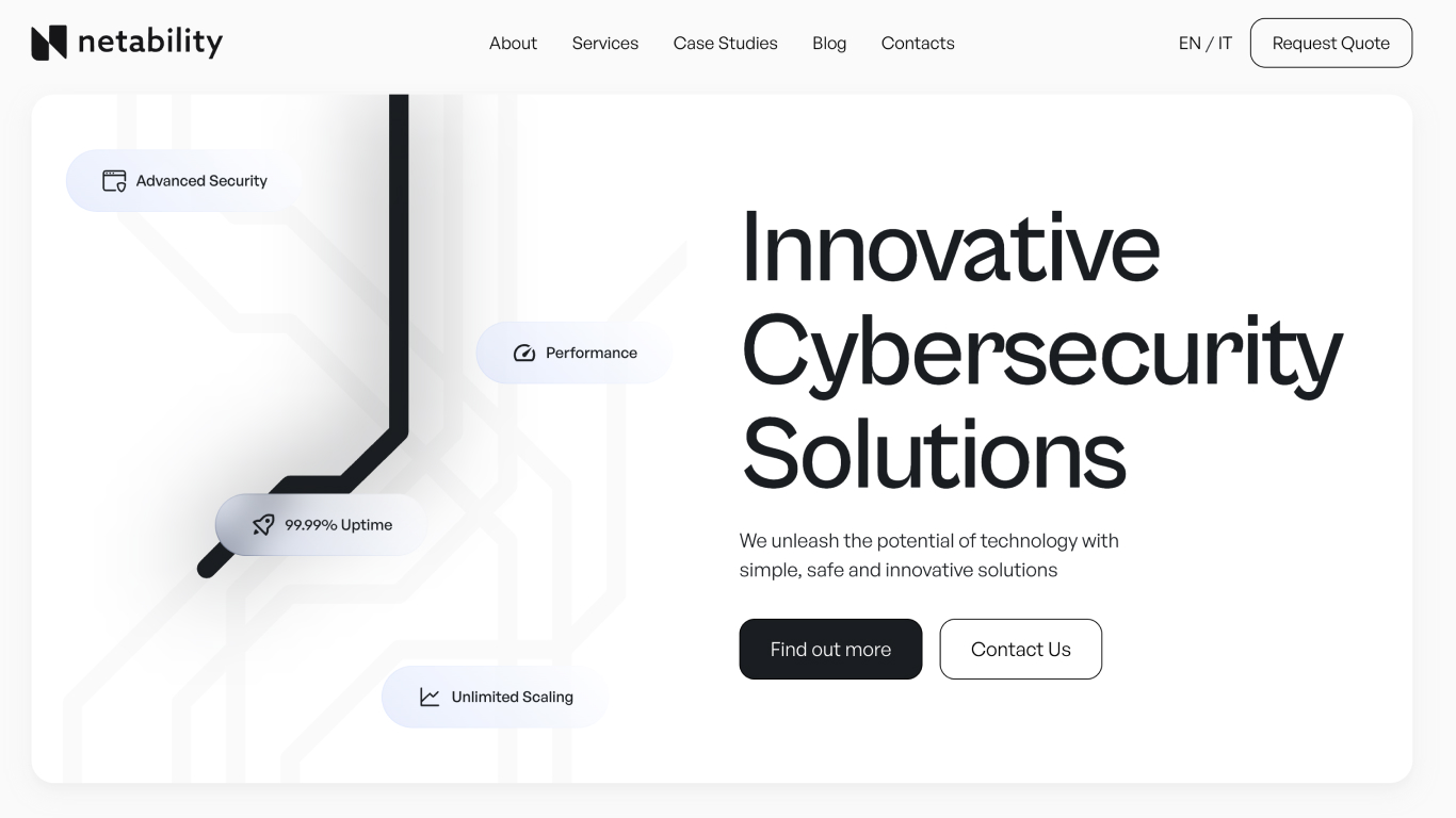 Netability website design showcase 1