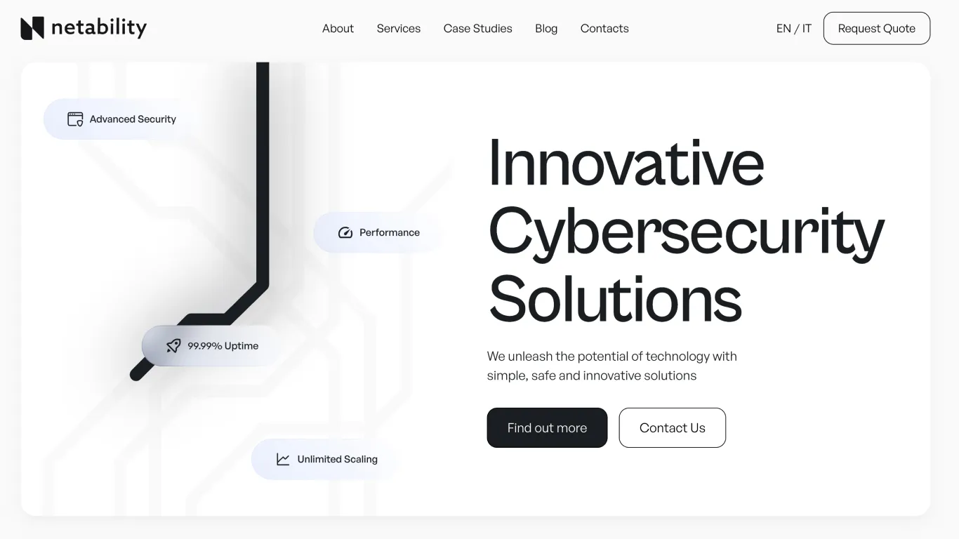Netability website design showcase 1