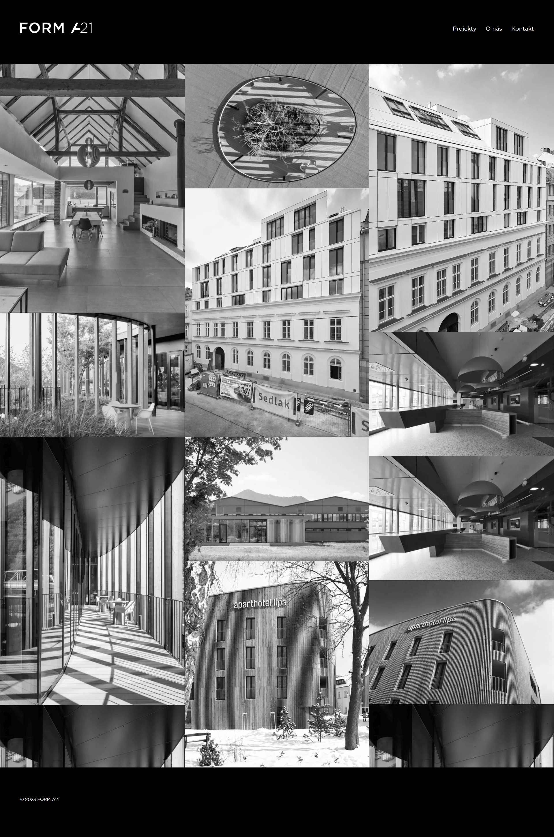 FORM A21 full website page showcase