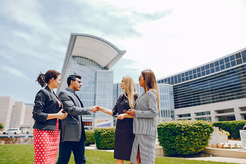Delegation and networking facilitation