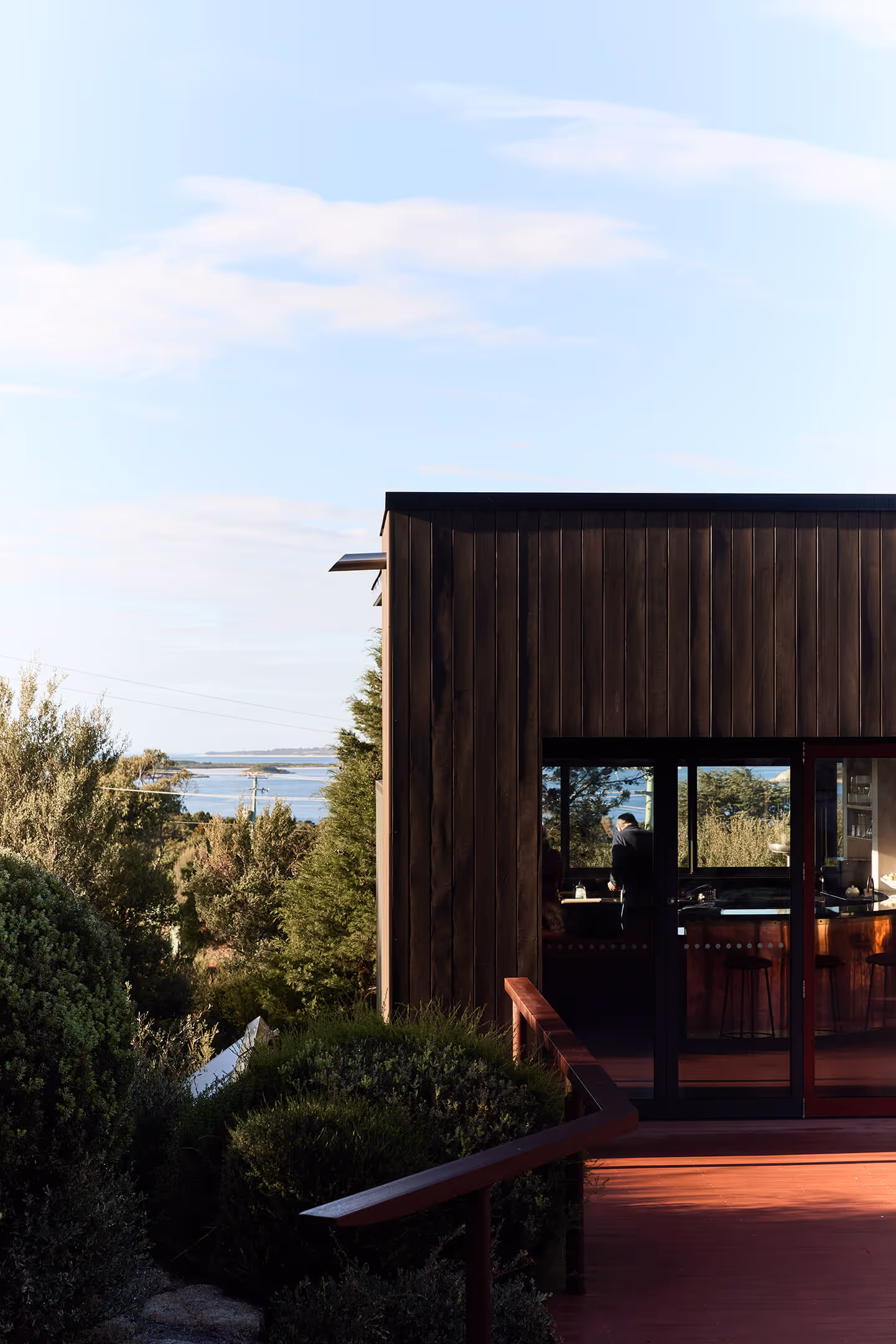 Modern dark wood house exterior with a glass door, surrounded by green shrubs and trees, overlooking water.