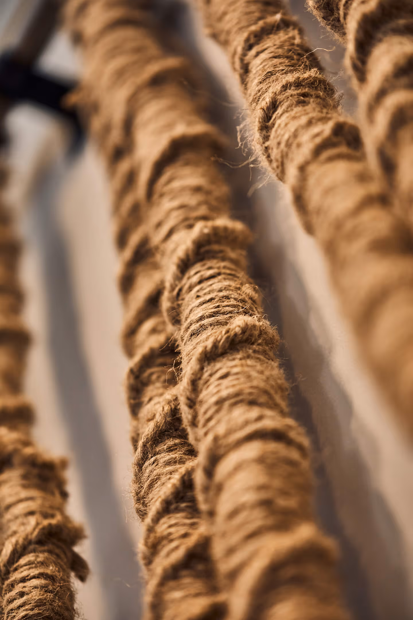Roped artwork