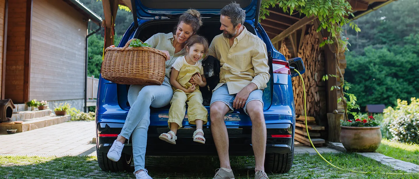 Electric Vehicle Ownership