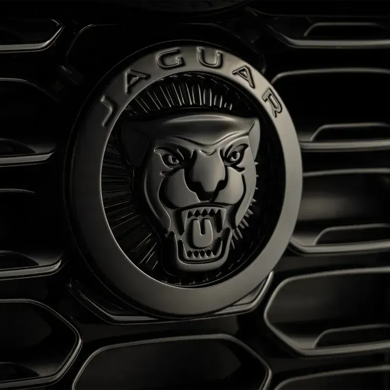 Jaguar