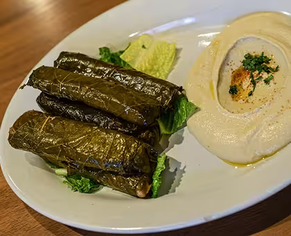 Veggie Grape Leaves w/ Side