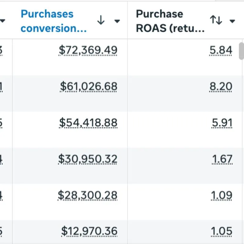 Table showing purchase conversion values and purchase ROAS ranging from $12,970.36 to $72,369.49 and 1.05 to 8.20.