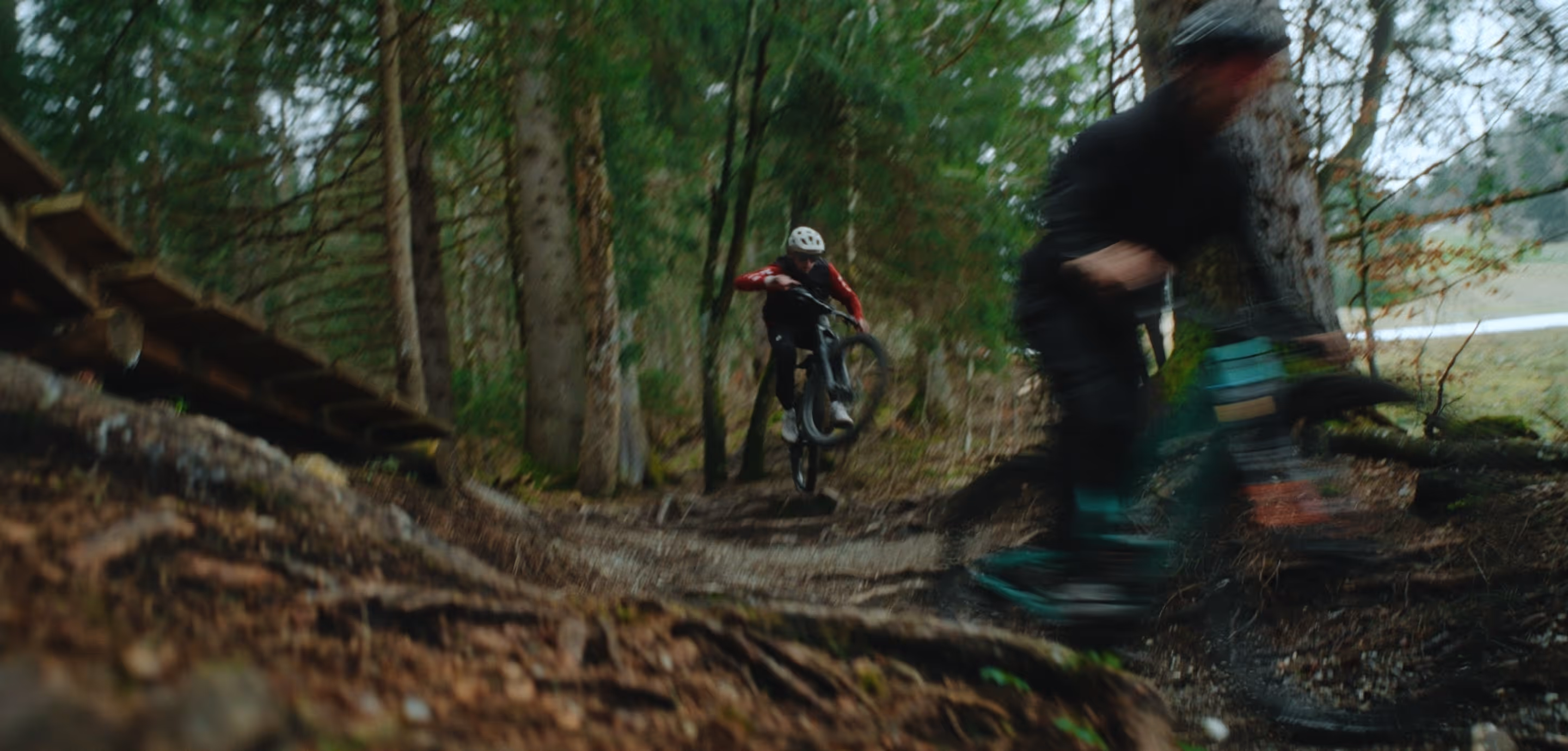 Two mountain bikers riding a forest trail, one performing a wheelie on a dirt path with trees around.