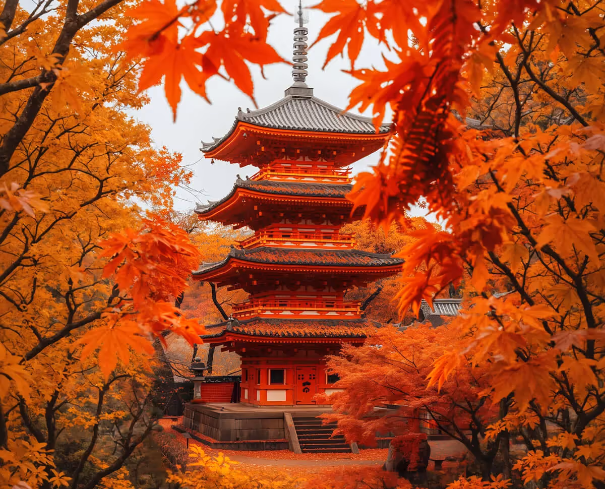 Tours Image