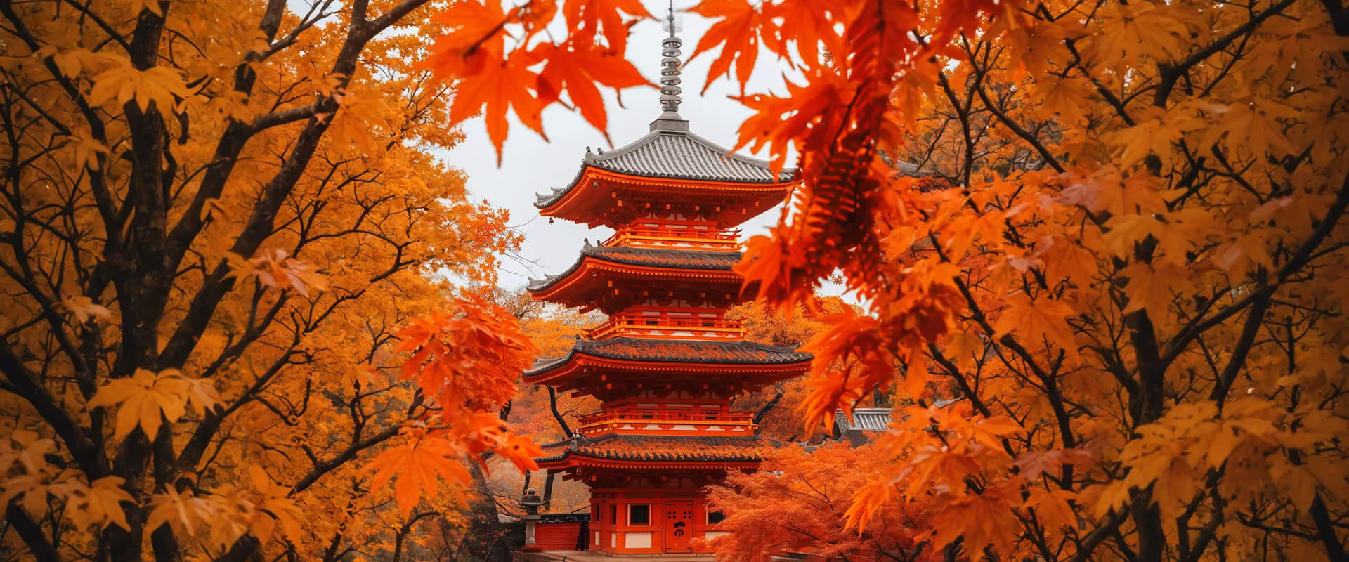Tours Image