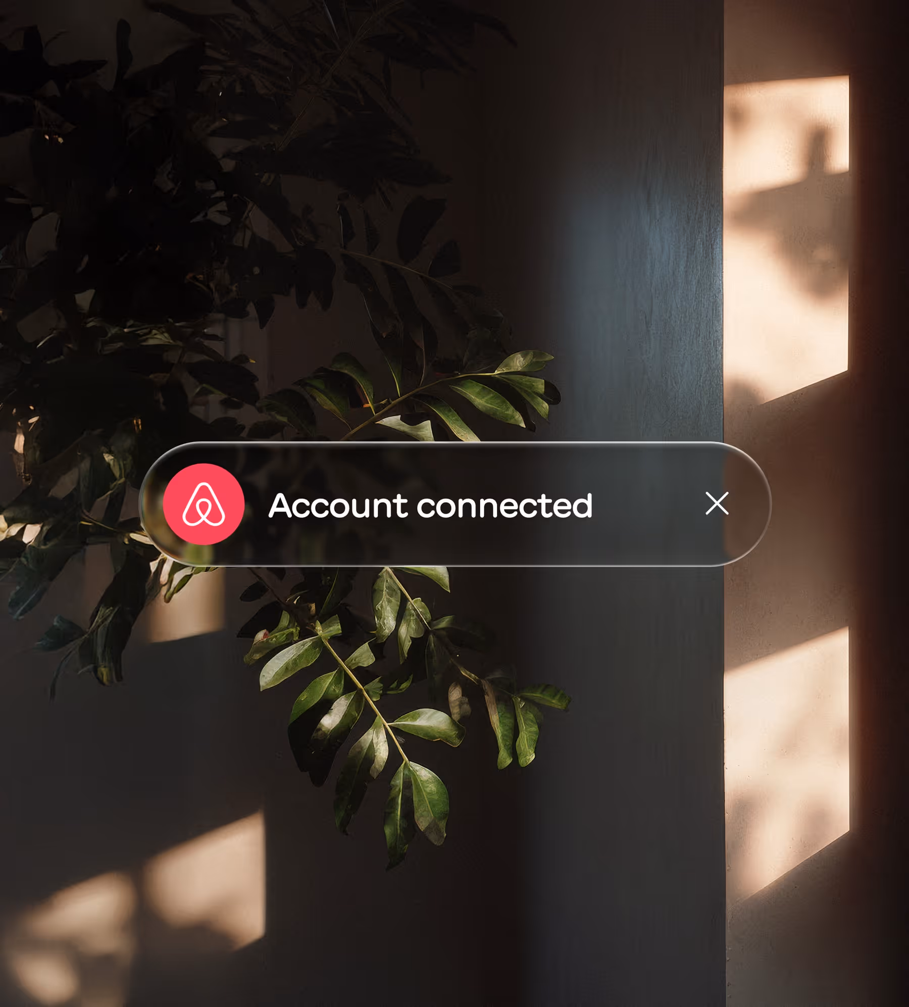 Green plant leaves illuminated by warm sunlight against a dark wall with a translucent notification bar saying 'Account connected' with the Airbnb logo.