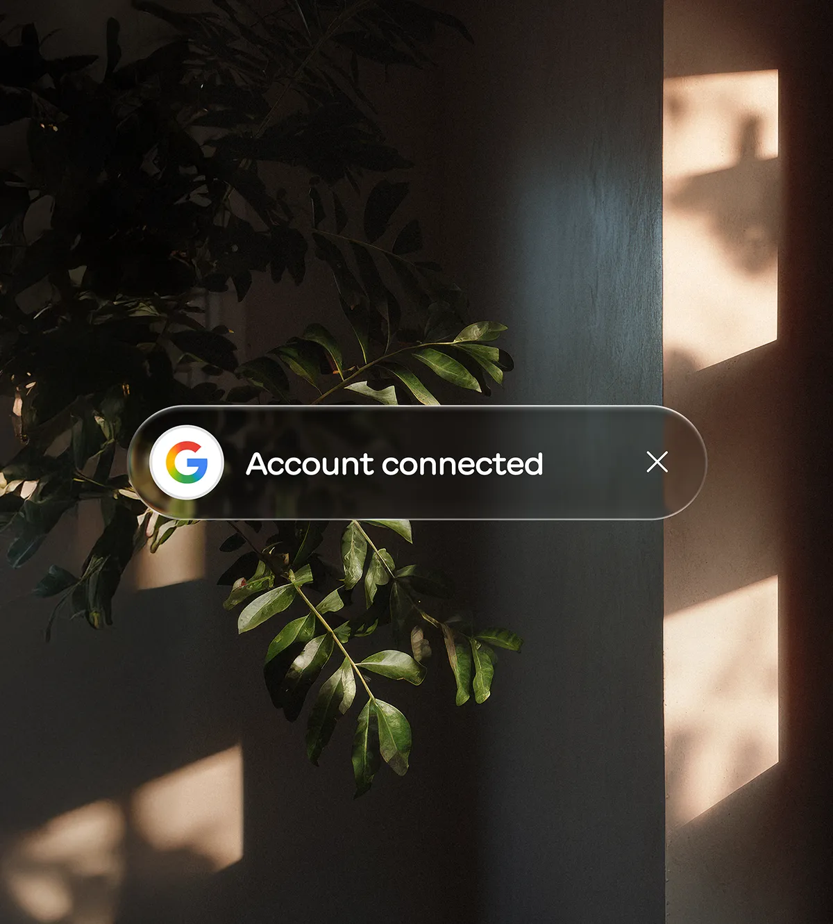 Notification overlay with Google logo and text 'Account connected' in front of a leafy plant and sunlight shadows on a wall.