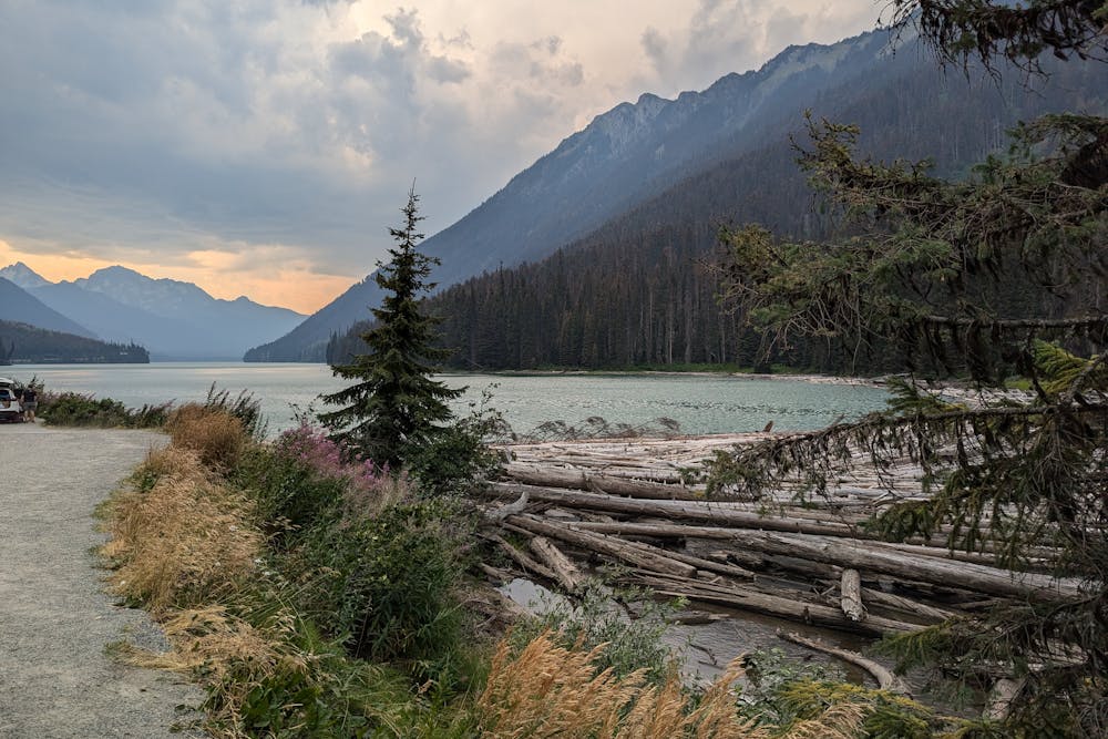 Mountain lake with logs floating near shore, surrounded by pine trees and cloudy sky at sunset.