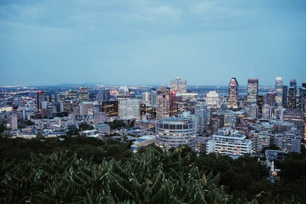 City skyline at dusk with lit buildings behind a green tree-covered foreground.