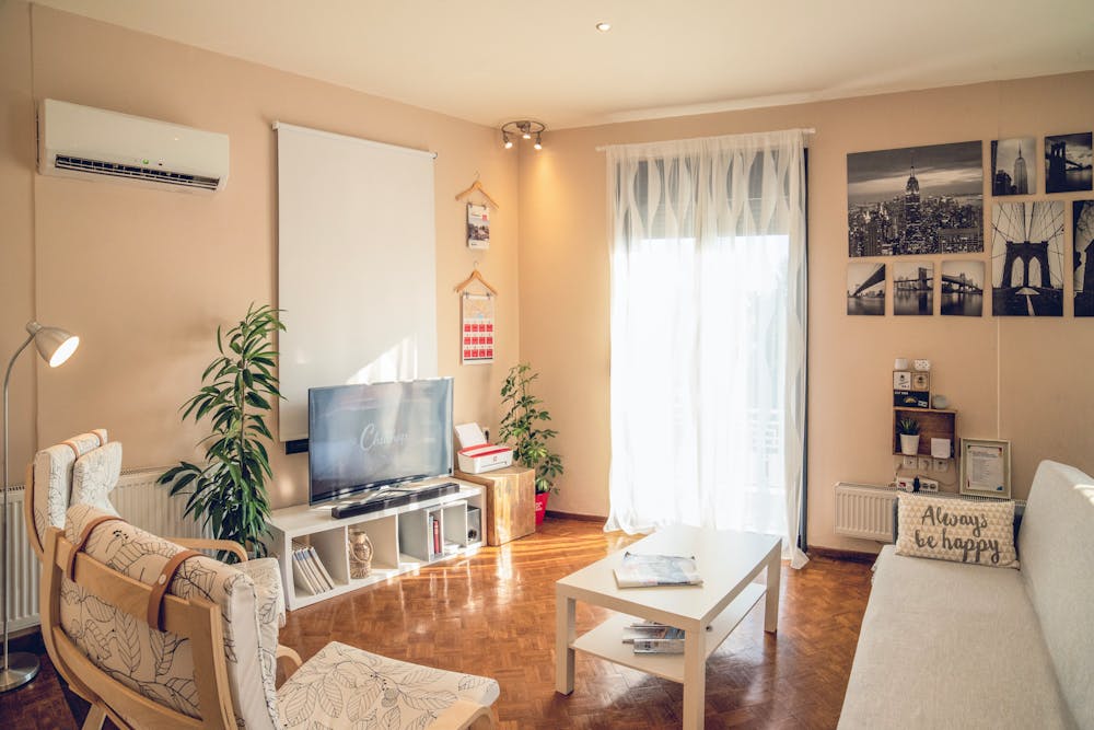 Cozy living room with beige walls, white sofa, patterned chairs, TV, plants, and natural light.