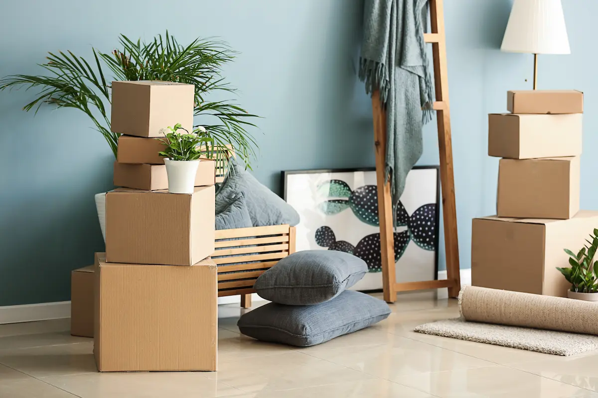 Packed moving boxes and rolled-up blankets stacked in a clean, modern room with house plants.