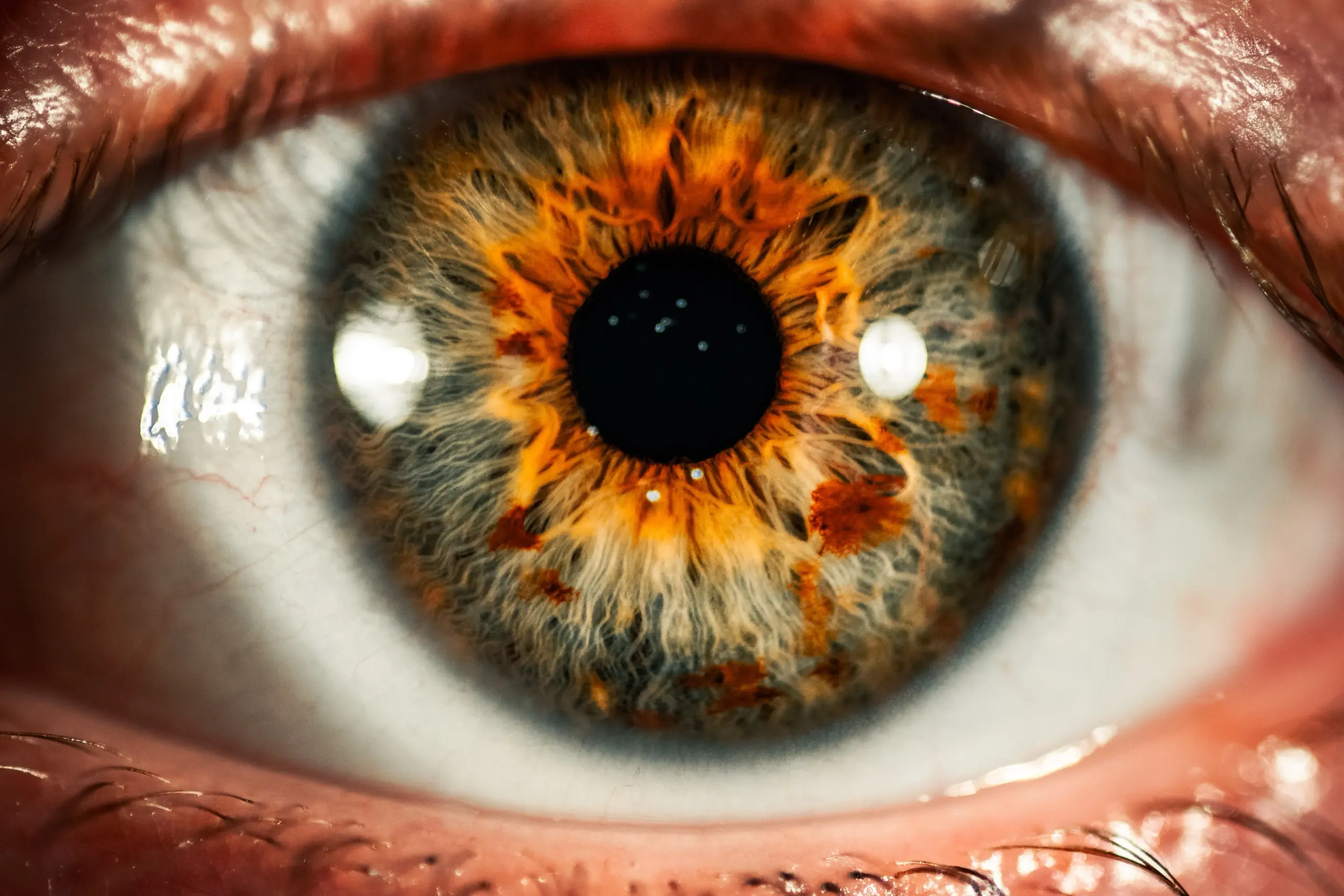 Close-up of an eye with a detailed amber and brown iris