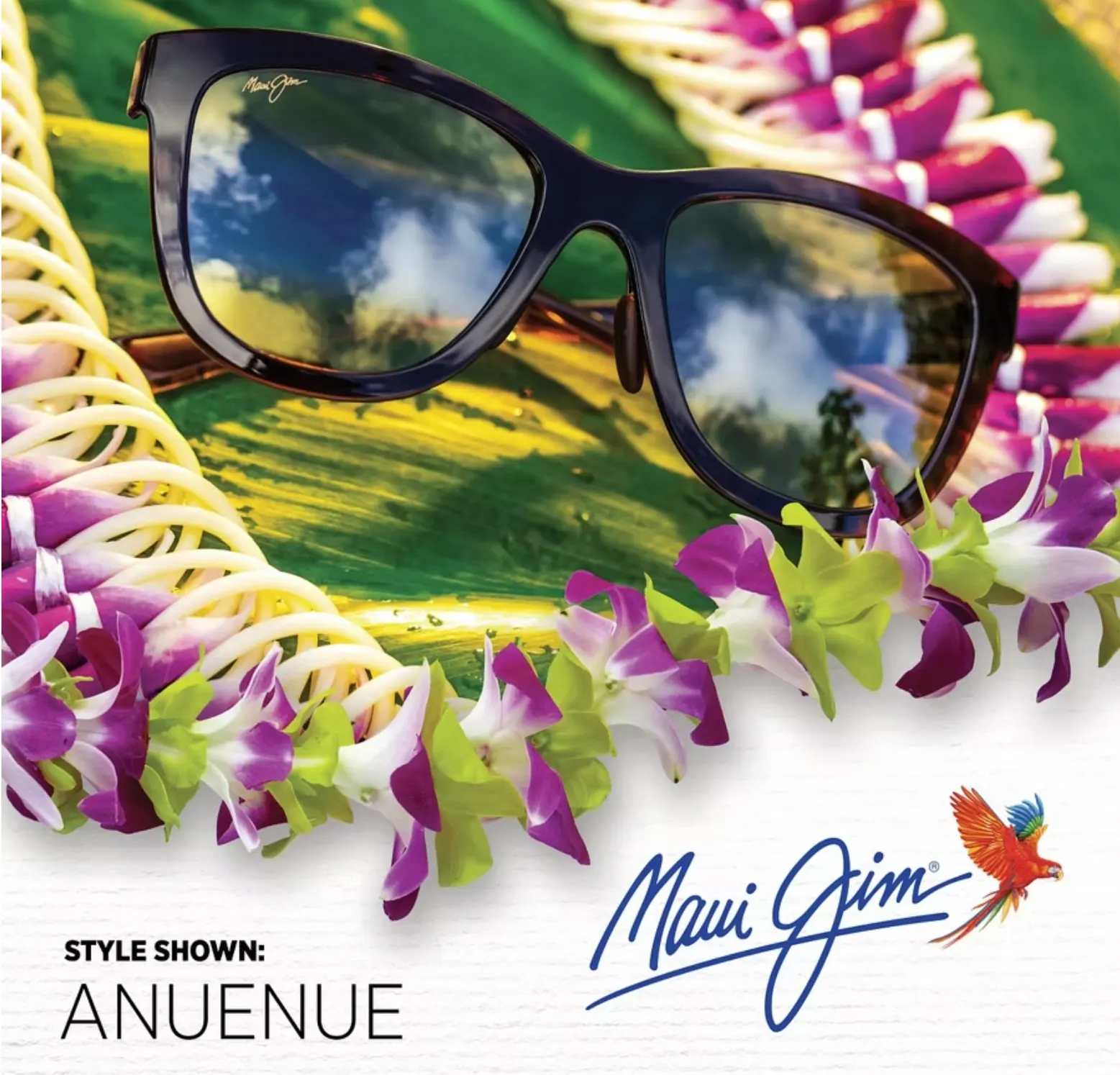 Maui Jim sunglasses at David Burghardt Vision Care