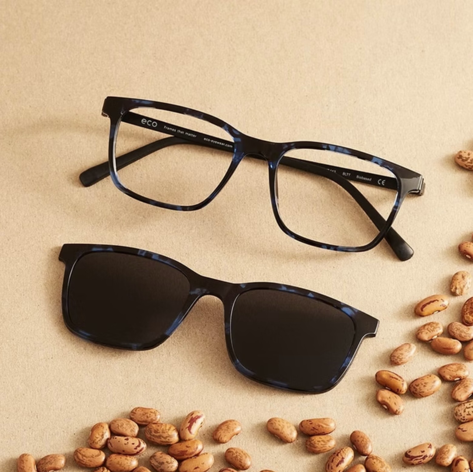 ECO eyewear frames at David Burghardt Vision Care