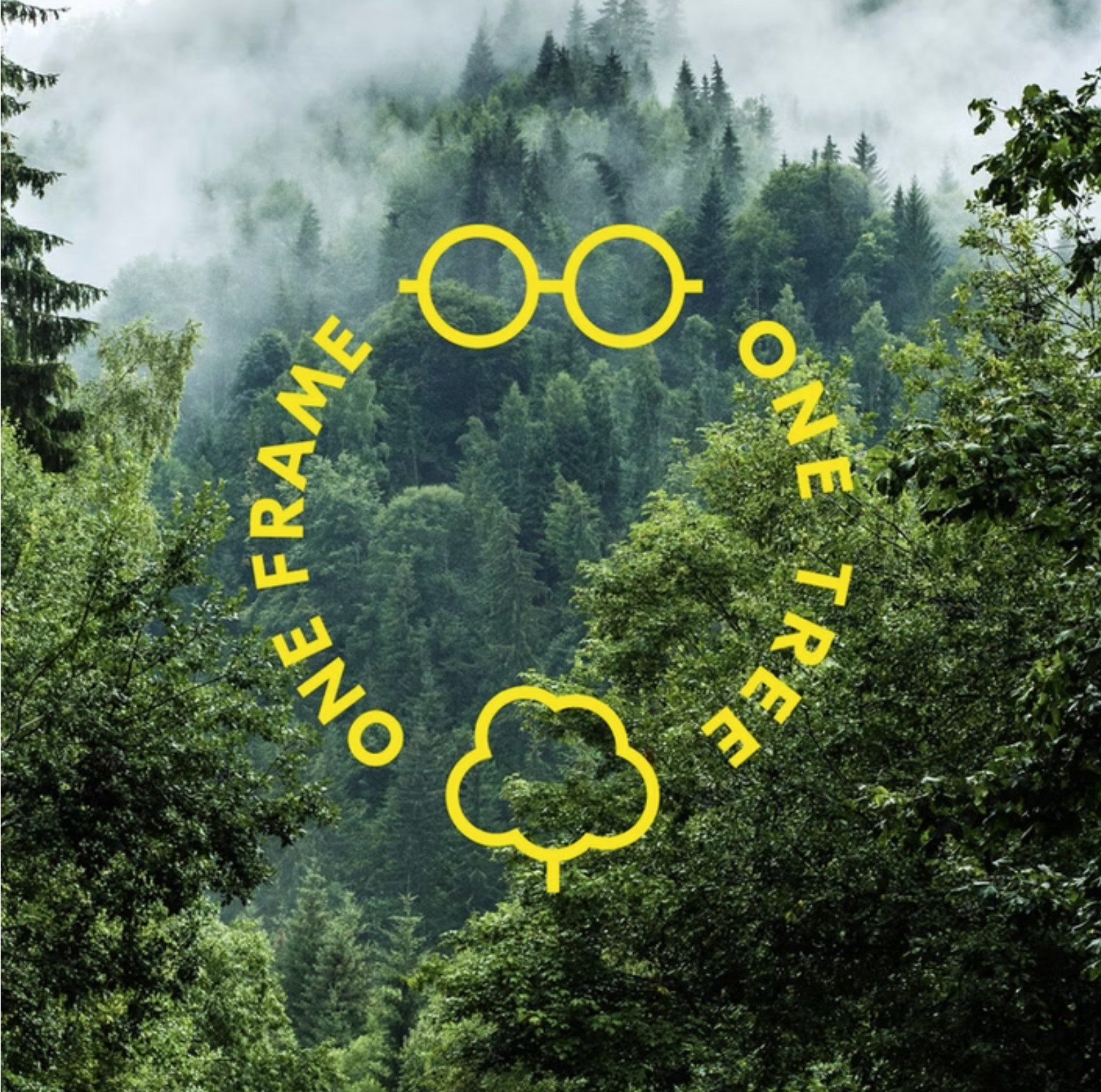 ECO eyewear frames at David Burghardt Vision Care