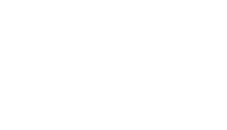 The Paak logo