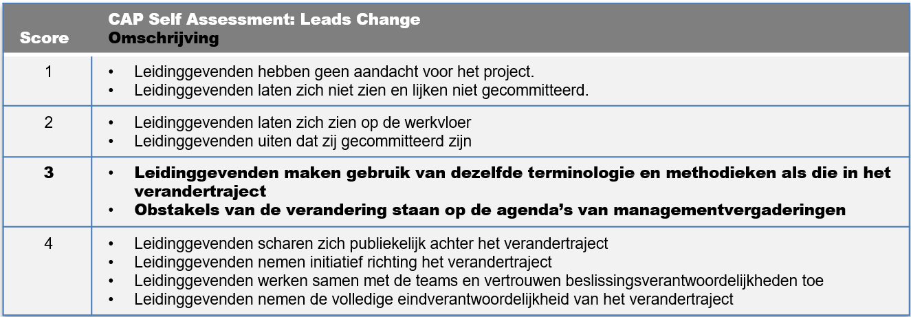 CAP self assessment: leads change