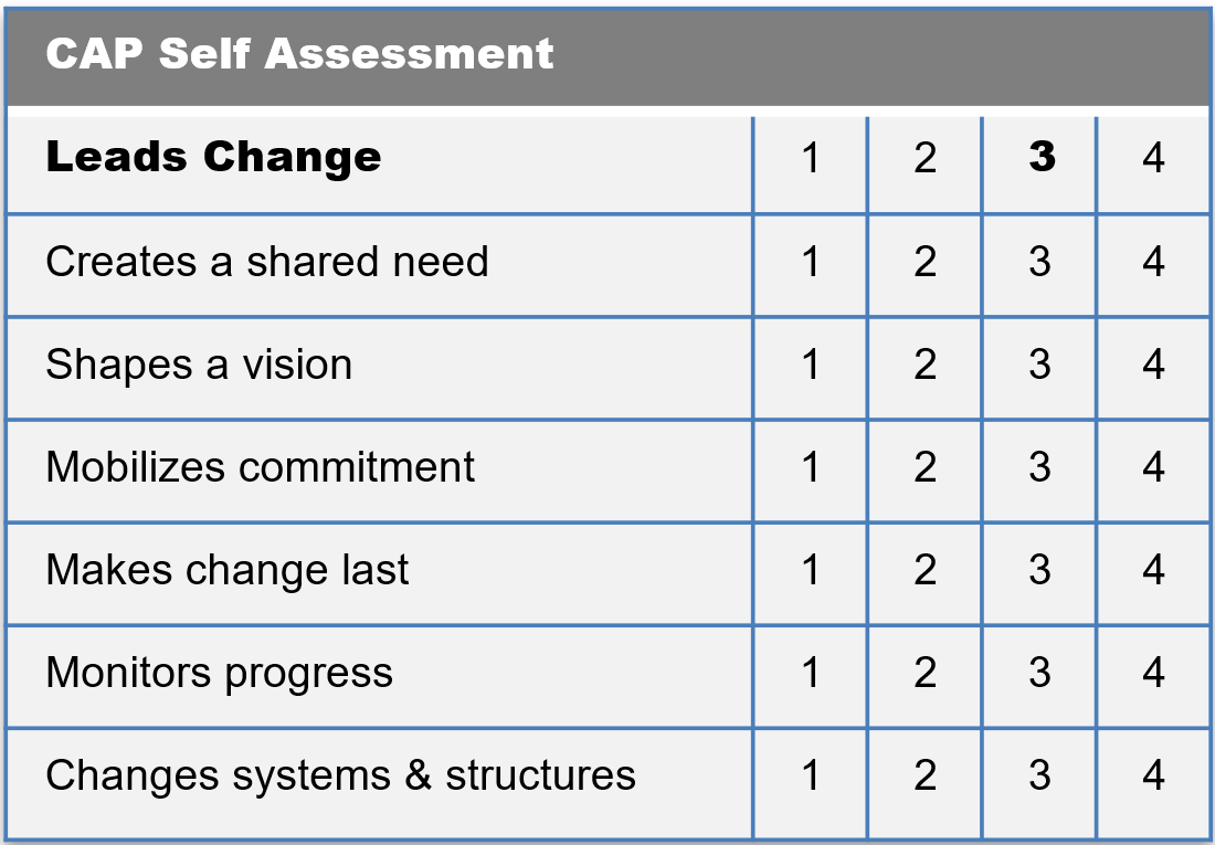 Voorbeeld CAP self assessment