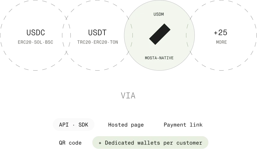 Pay vendors anywhere, fast.
