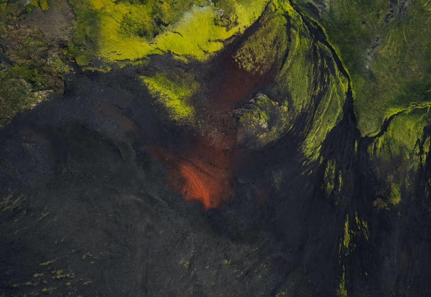 Areal view of landscape with grass and trees.