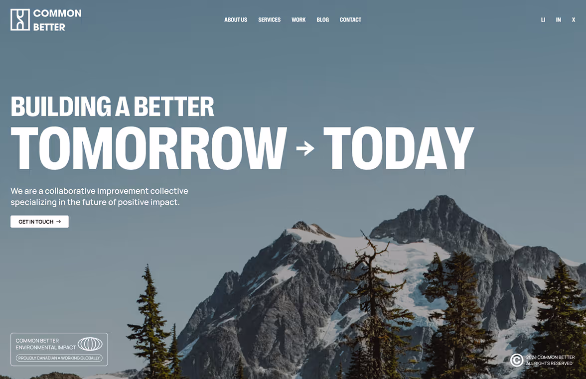Common Better website homepage hero section.