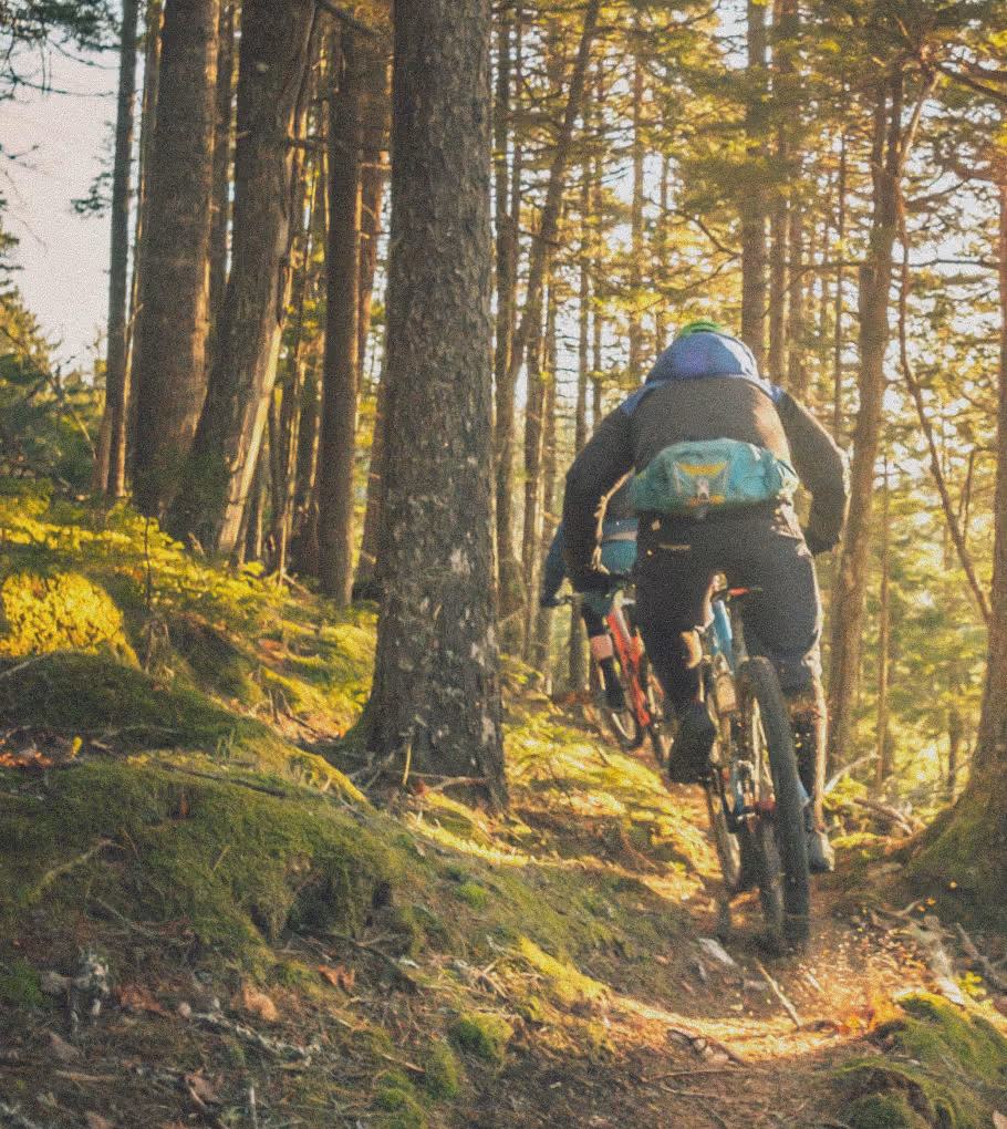 a man mountain bikes through trails on Vancouver Island