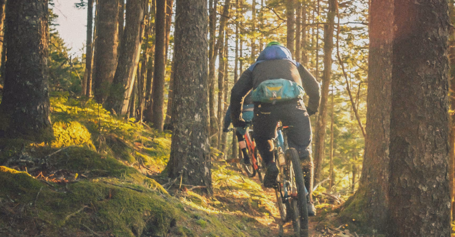 a man mountain bikes through trails on Vancouver Island