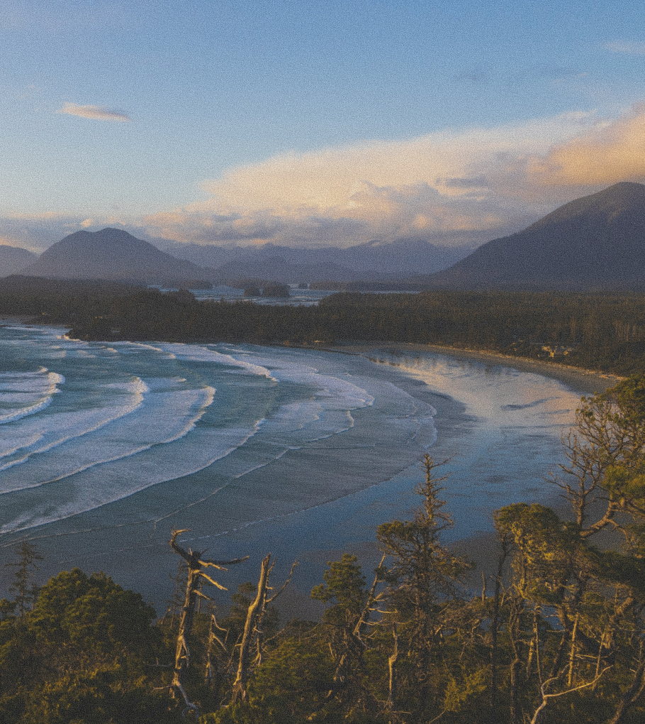 Overlooking the beach in Tofino