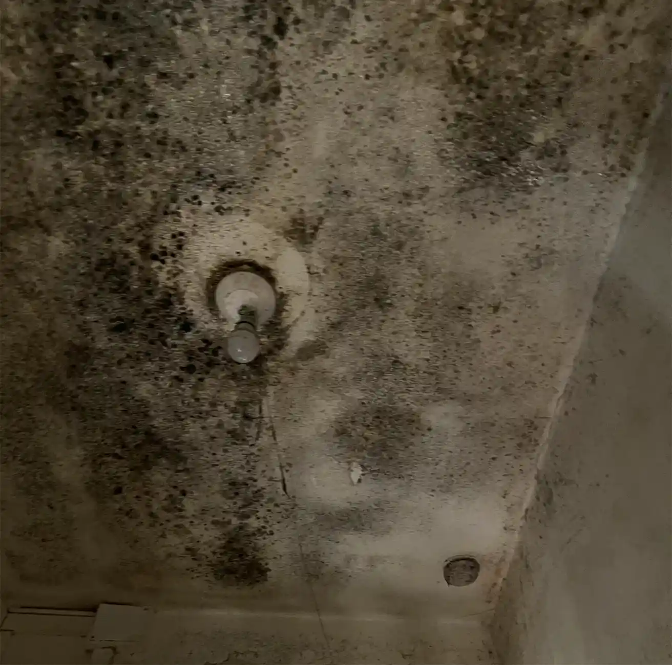 Tâches noirs sur les murs à cause de l'humidité