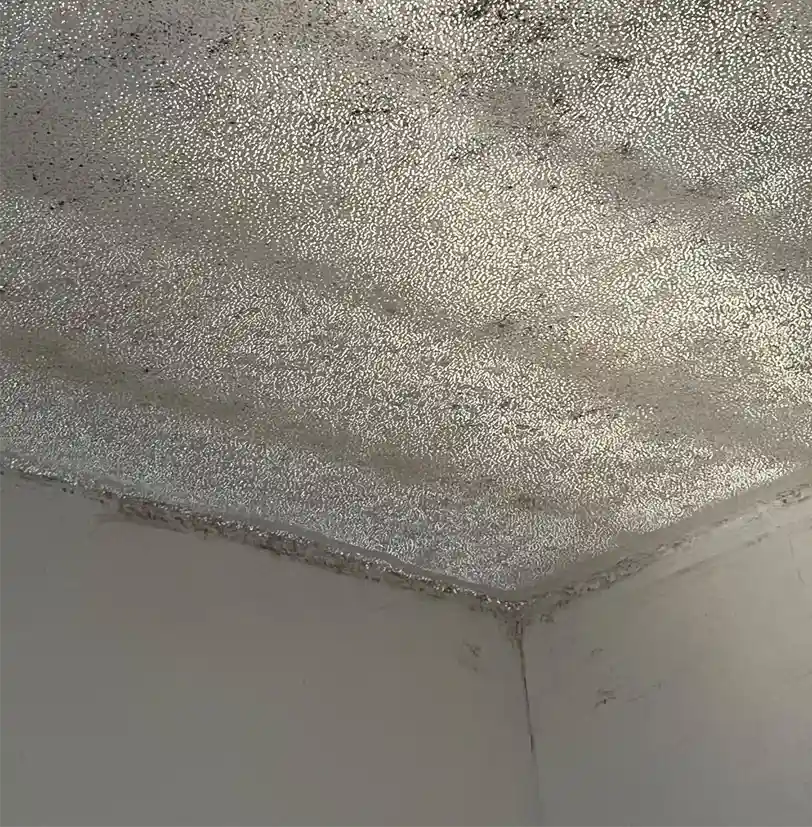 Condensation