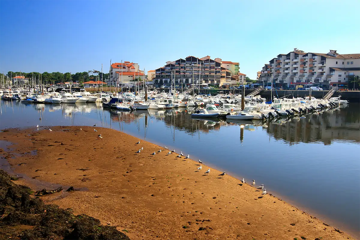Agence Mur O'sec Landes capbreton