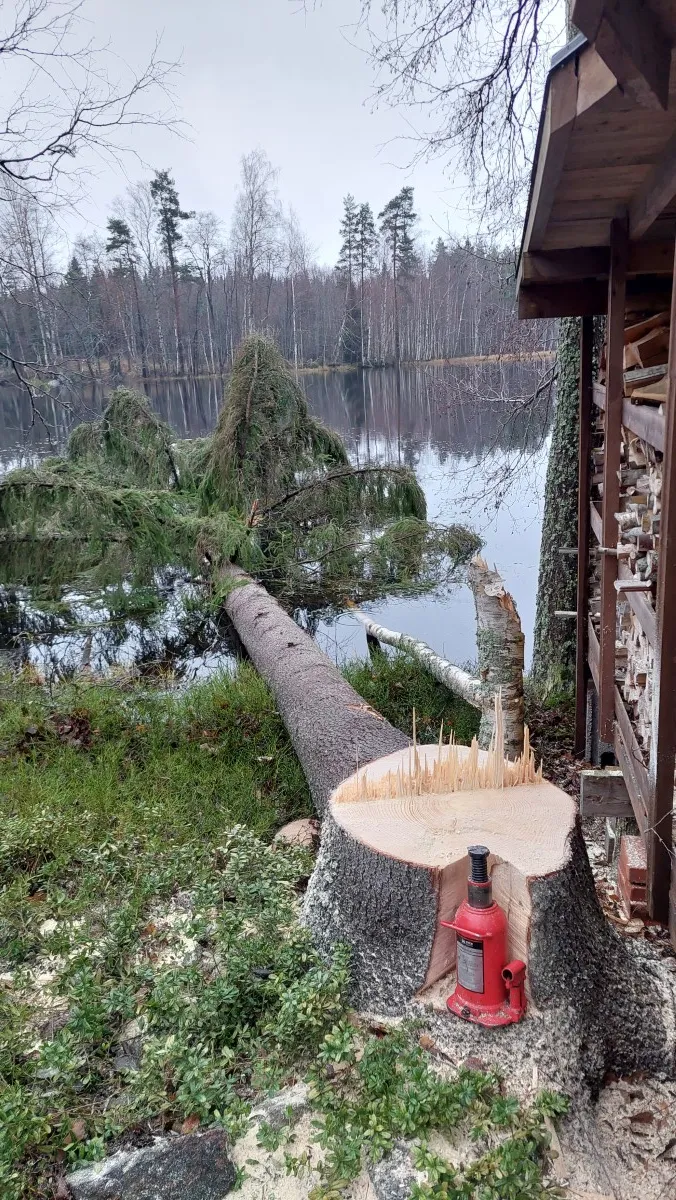 Puunkaatoa Koivunen Timberin työmaalla