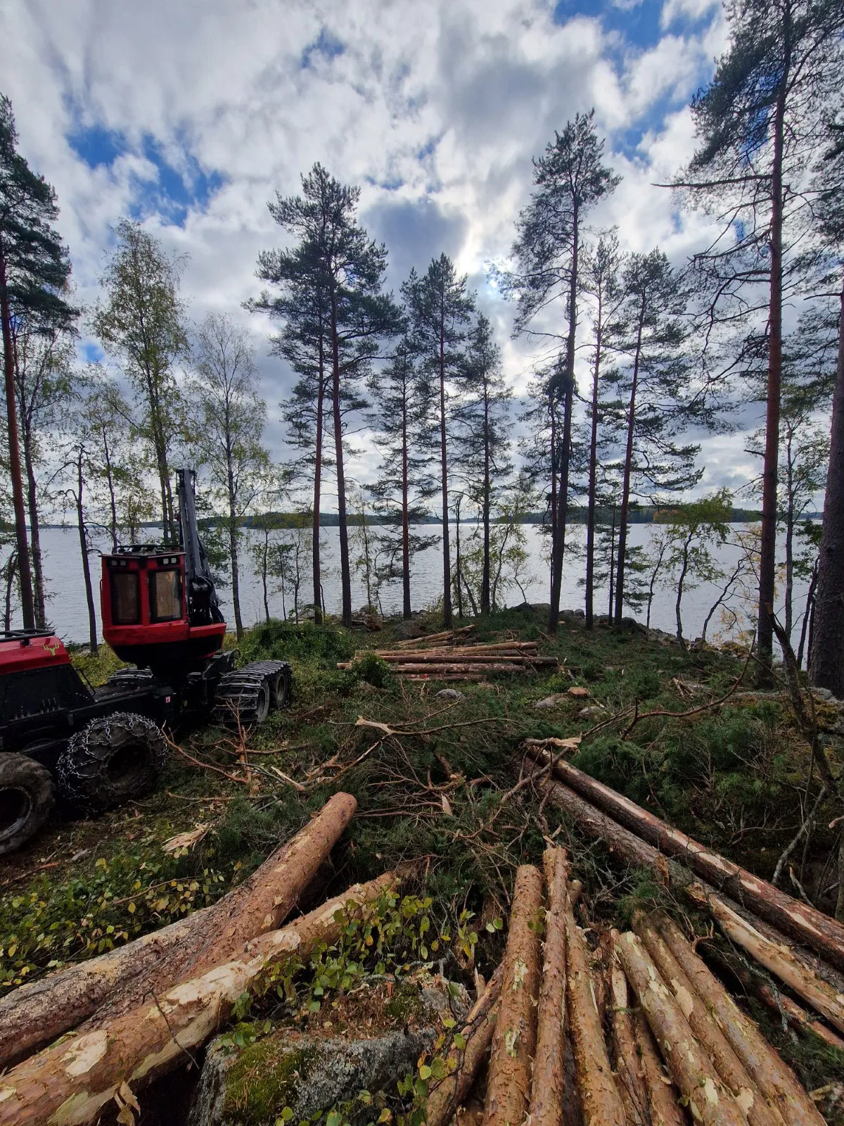 Koneellista puunkorjuuta hankintakauppaa varten